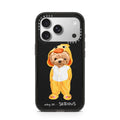 iPhone-17-Pro-Silver