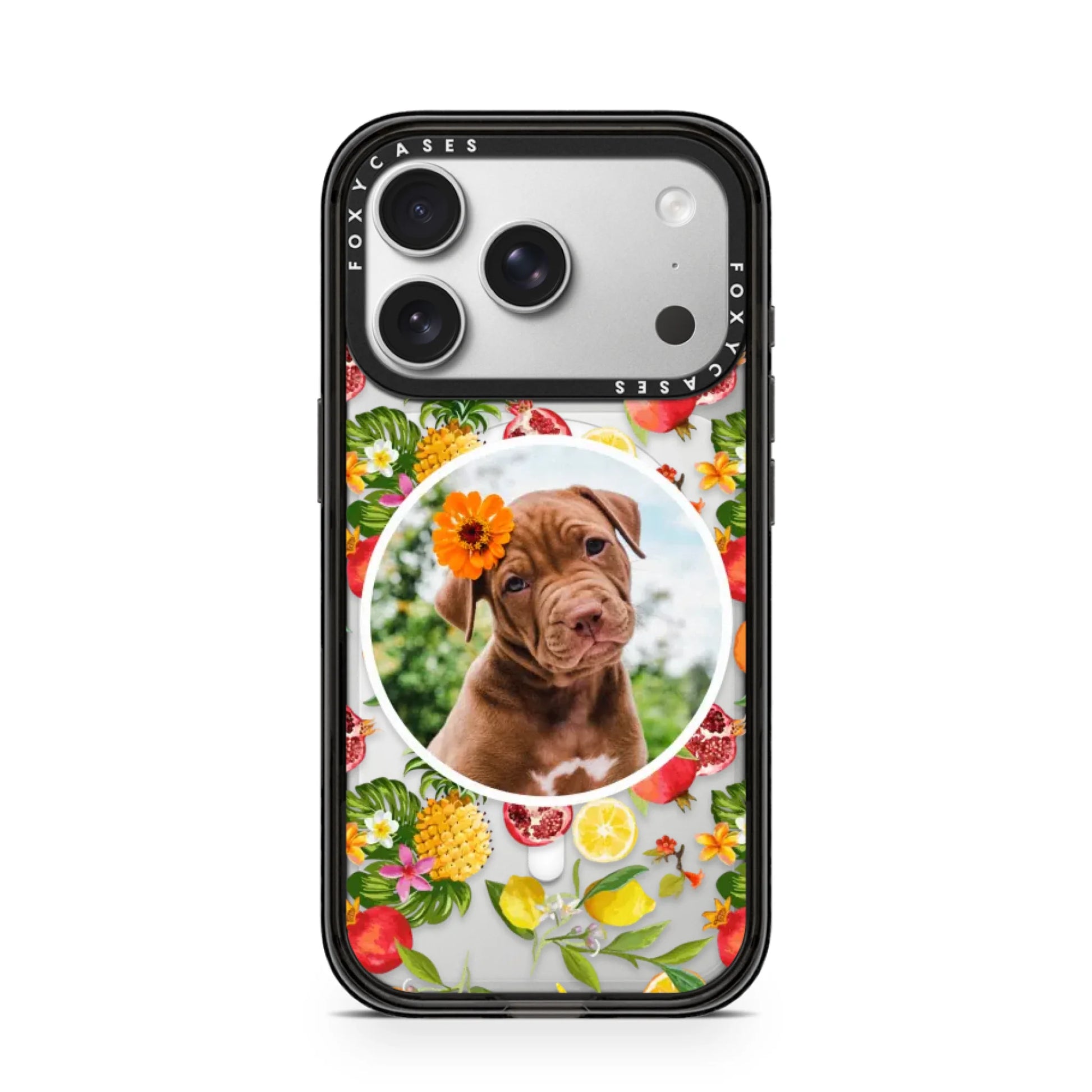 iPhone-17-Pro-Silver