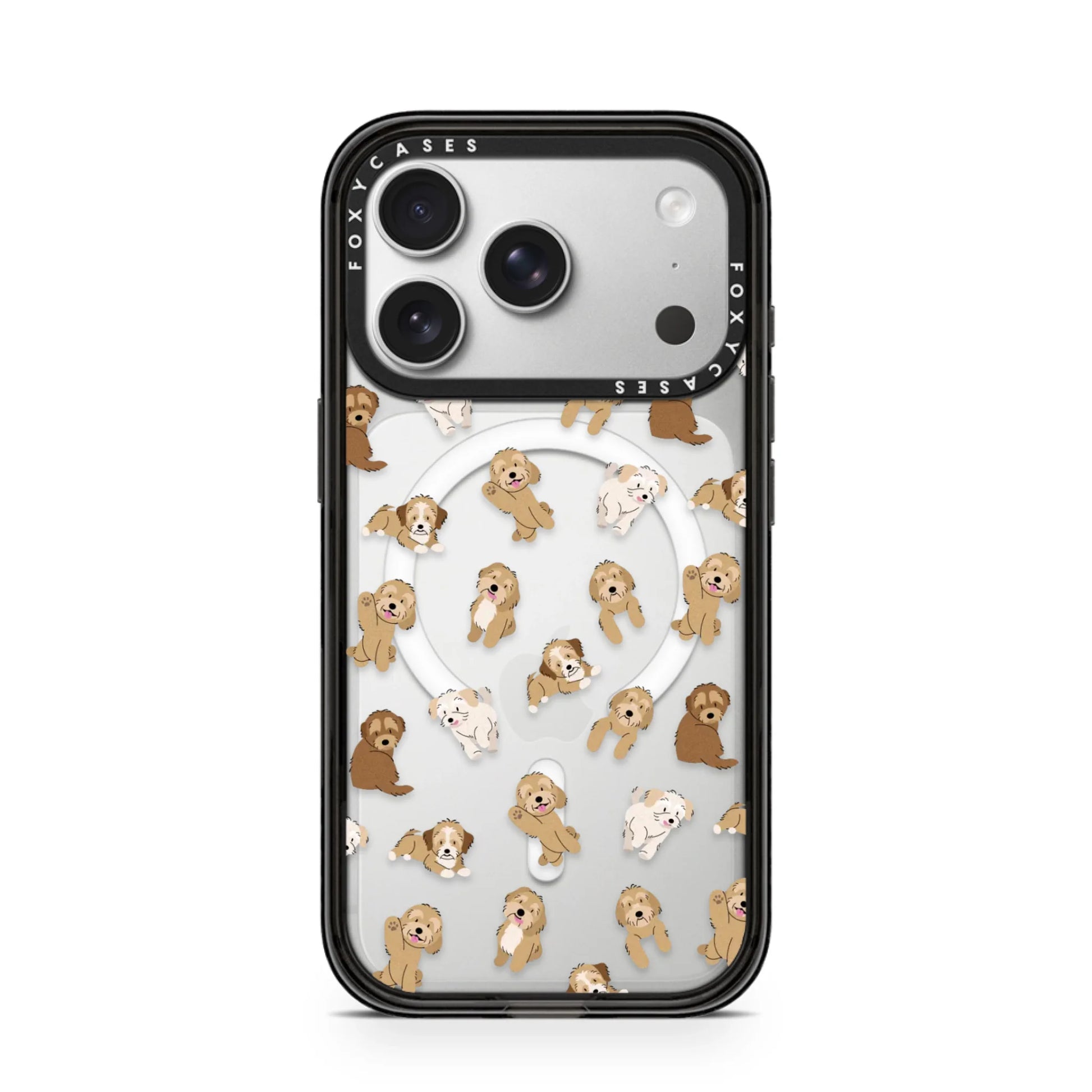iPhone-17-Pro-Silver