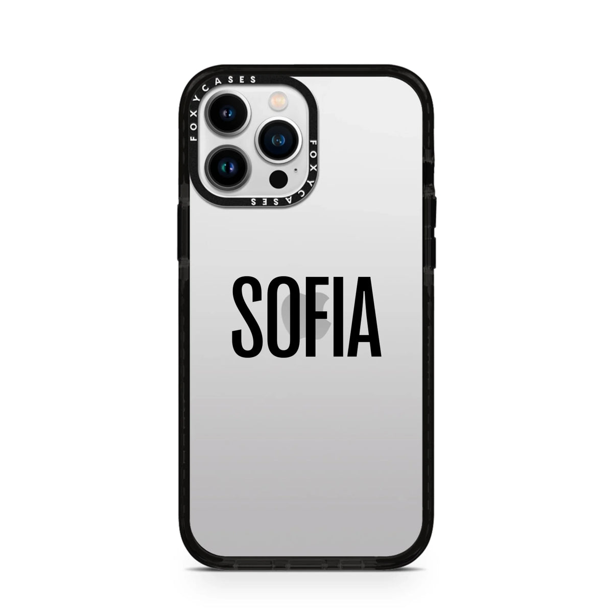 iPhone-13-Pro-Max-Silver