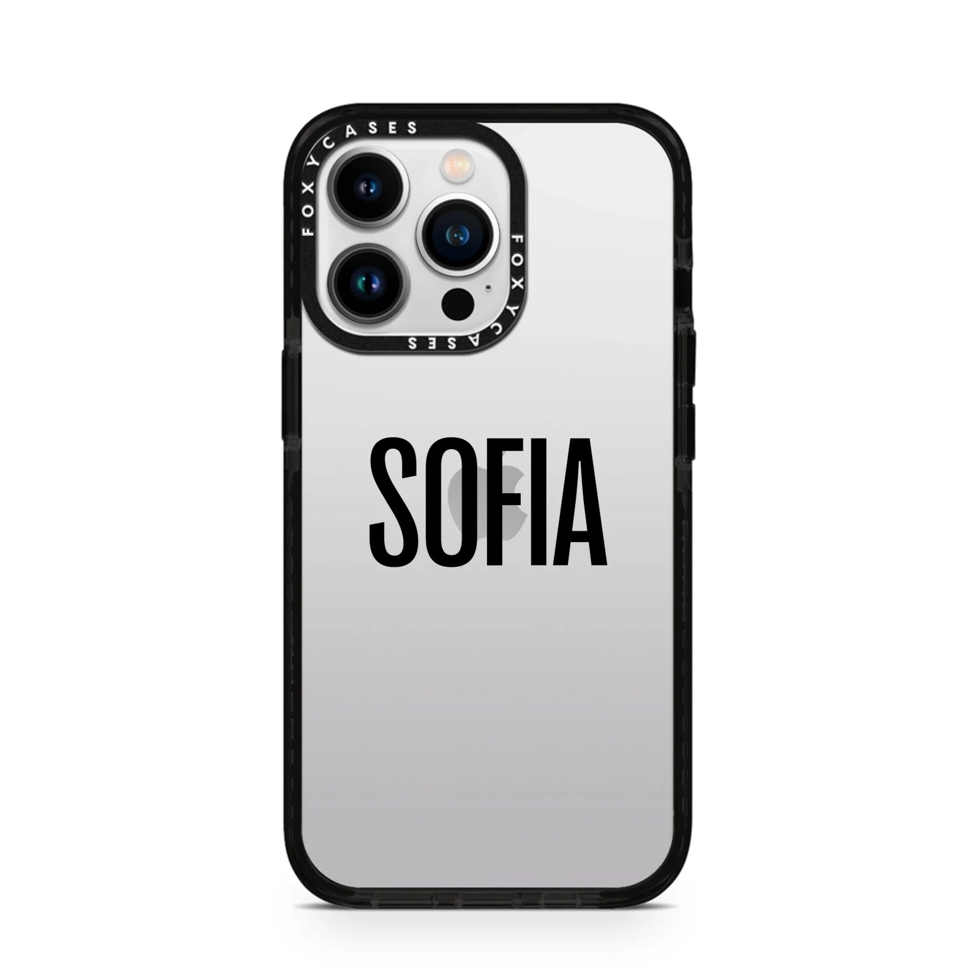 iPhone-13-Pro-Silver