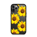 iPhone-12-Pro-Graphite