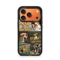 iPhone-17-Pro-Cosmic-Orange