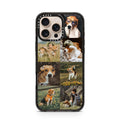 iPhone-16-Pro-Max-Desert-Titanium