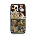 iPhone-12-Pro-Max-Gold