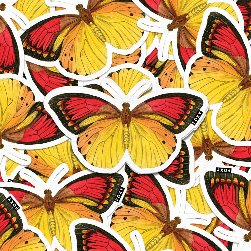 Hebomoia Butterfly  - Sticker