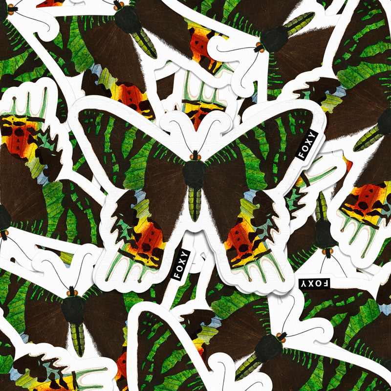 Madagascan Sunset Moth  - Sticker